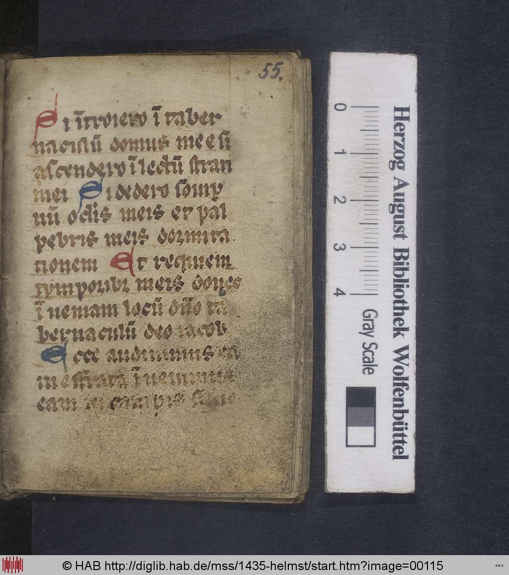 http://diglib.hab.de/mss/1435-helmst/00115.jpg