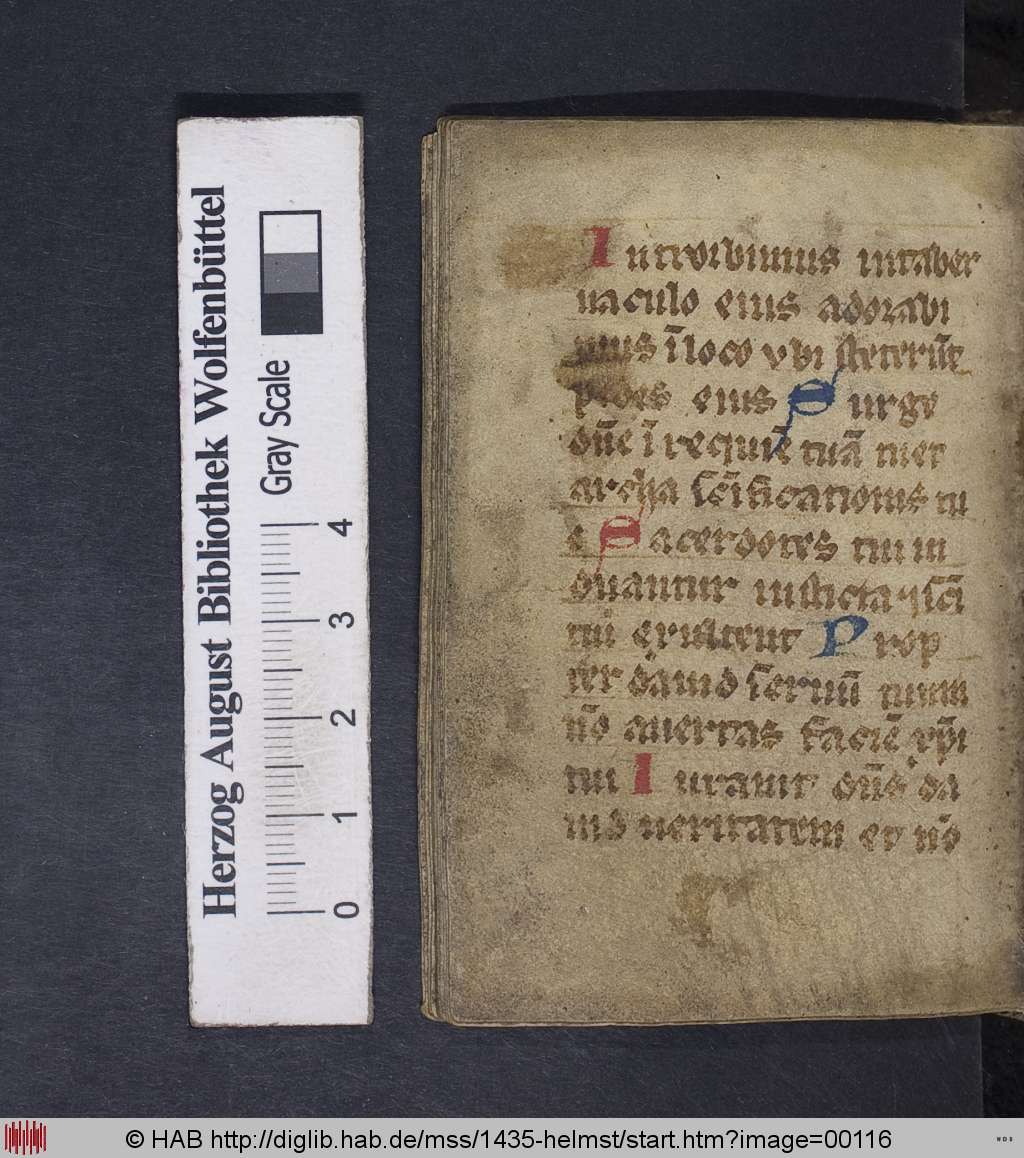http://diglib.hab.de/mss/1435-helmst/00116.jpg