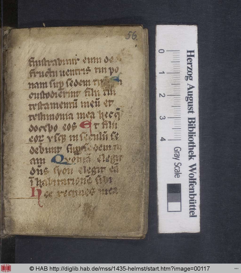 http://diglib.hab.de/mss/1435-helmst/00117.jpg