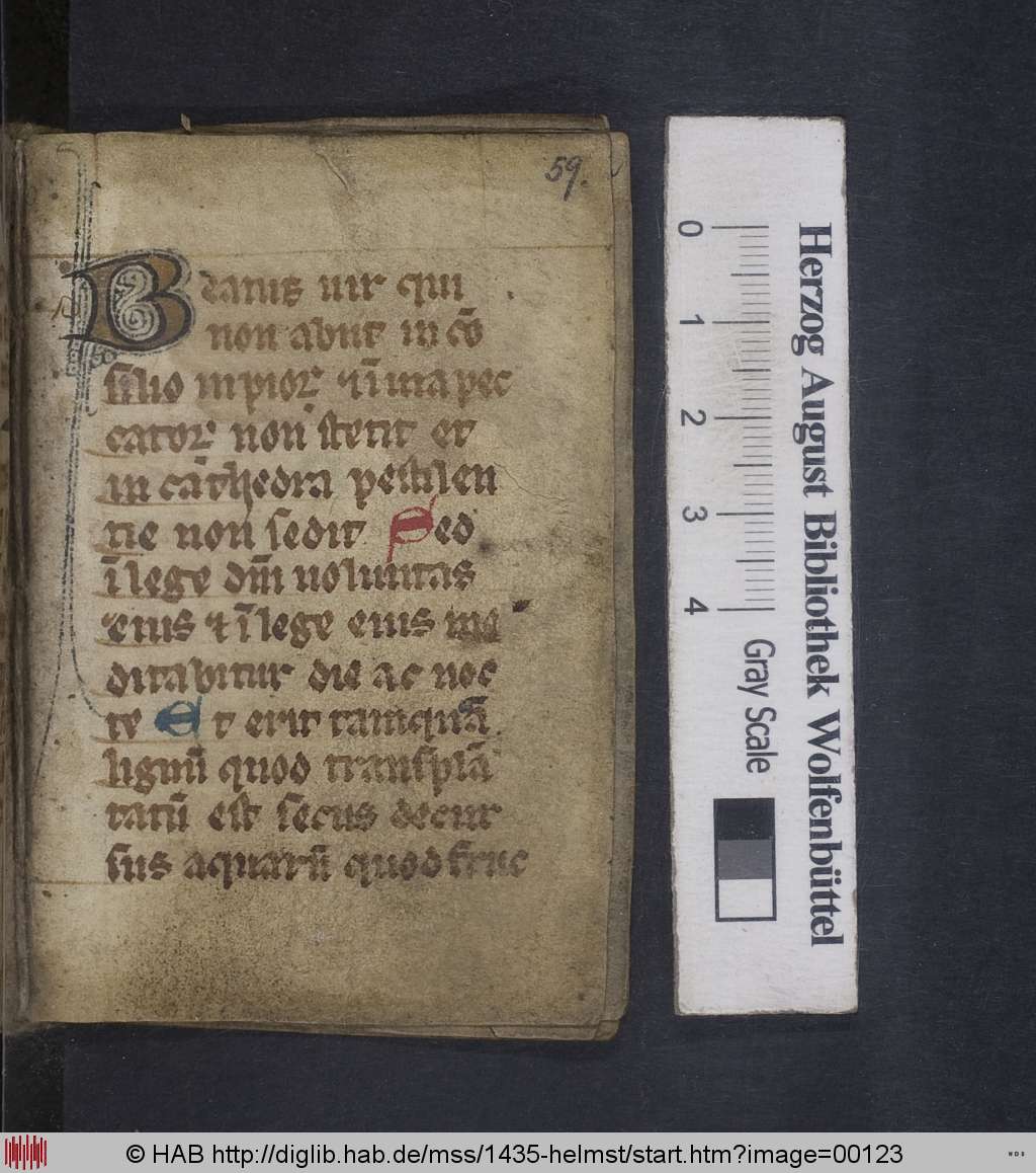 http://diglib.hab.de/mss/1435-helmst/00123.jpg
