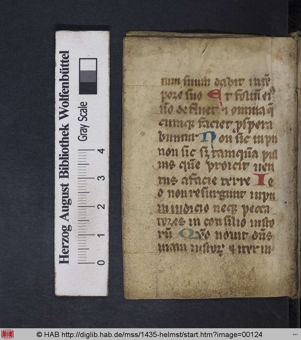 http://diglib.hab.de/mss/1435-helmst/00124.jpg