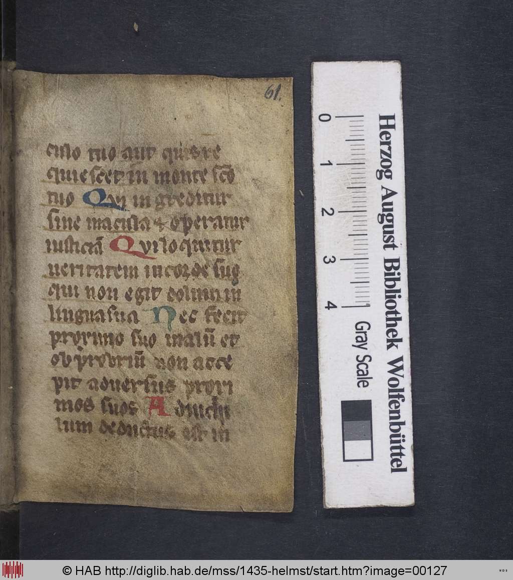http://diglib.hab.de/mss/1435-helmst/00127.jpg
