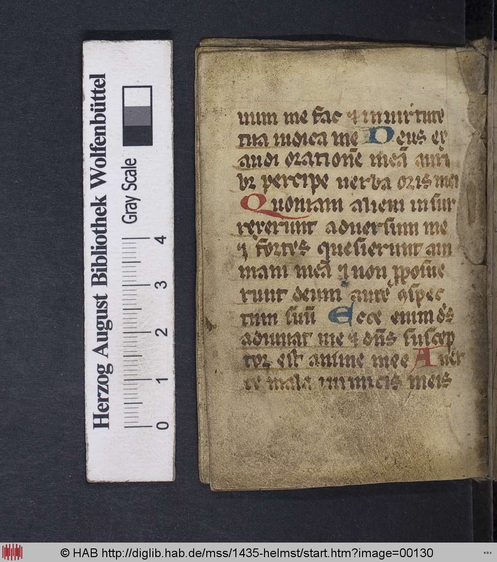 http://diglib.hab.de/mss/1435-helmst/00130.jpg