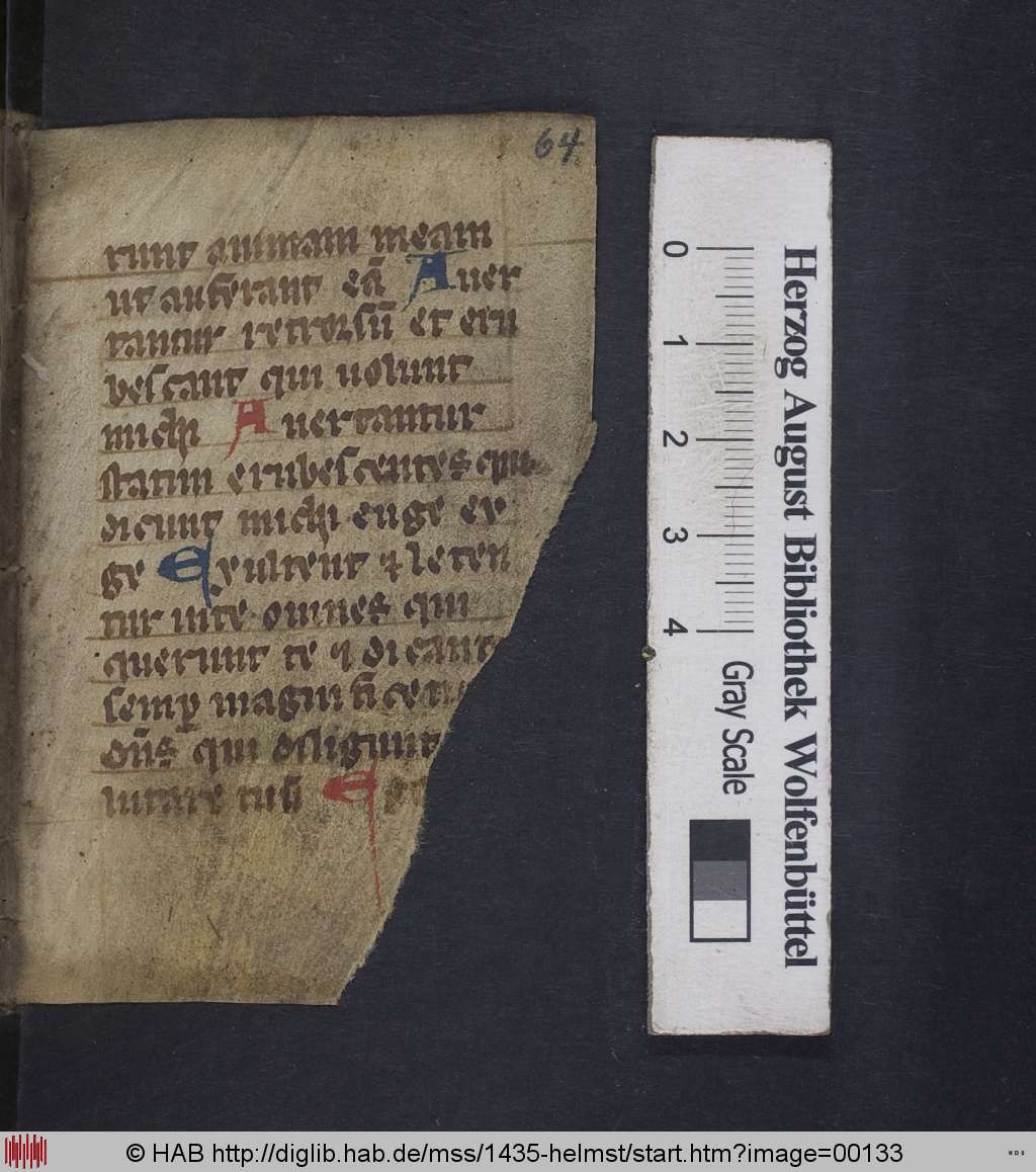 http://diglib.hab.de/mss/1435-helmst/00133.jpg