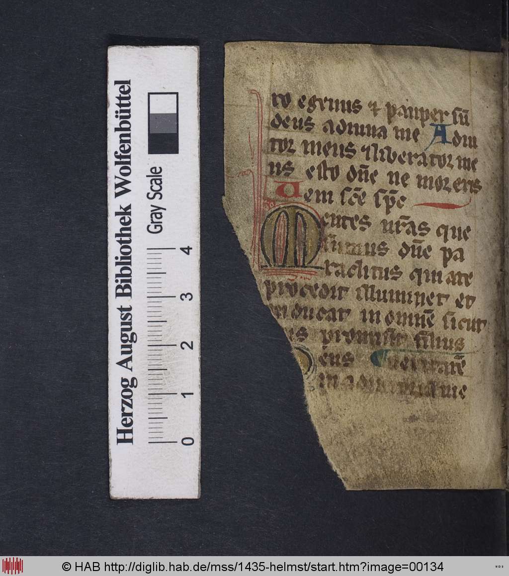 http://diglib.hab.de/mss/1435-helmst/00134.jpg