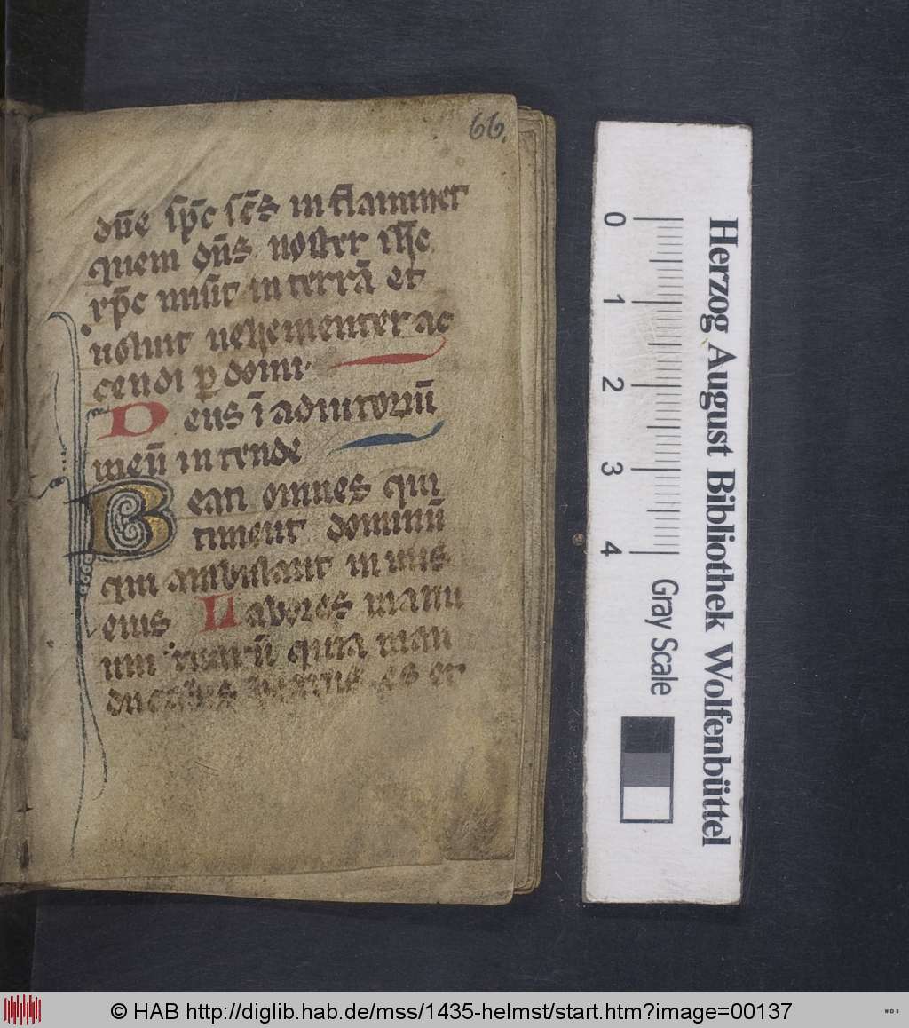 http://diglib.hab.de/mss/1435-helmst/00137.jpg