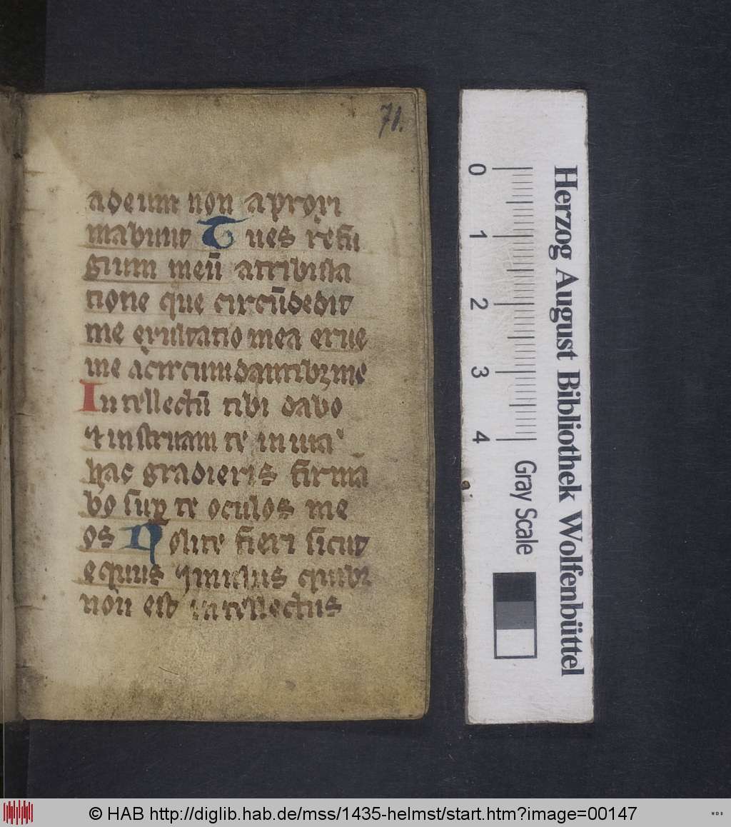 http://diglib.hab.de/mss/1435-helmst/00147.jpg