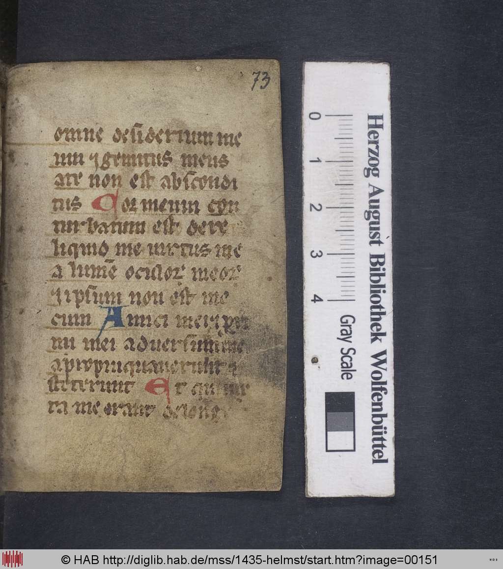 http://diglib.hab.de/mss/1435-helmst/00151.jpg