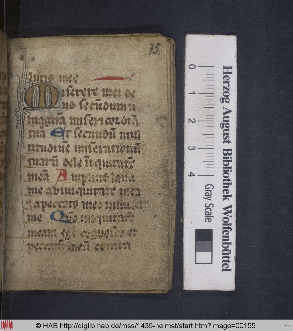 http://diglib.hab.de/mss/1435-helmst/00155.jpg