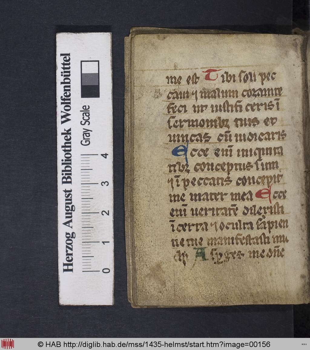 http://diglib.hab.de/mss/1435-helmst/00156.jpg