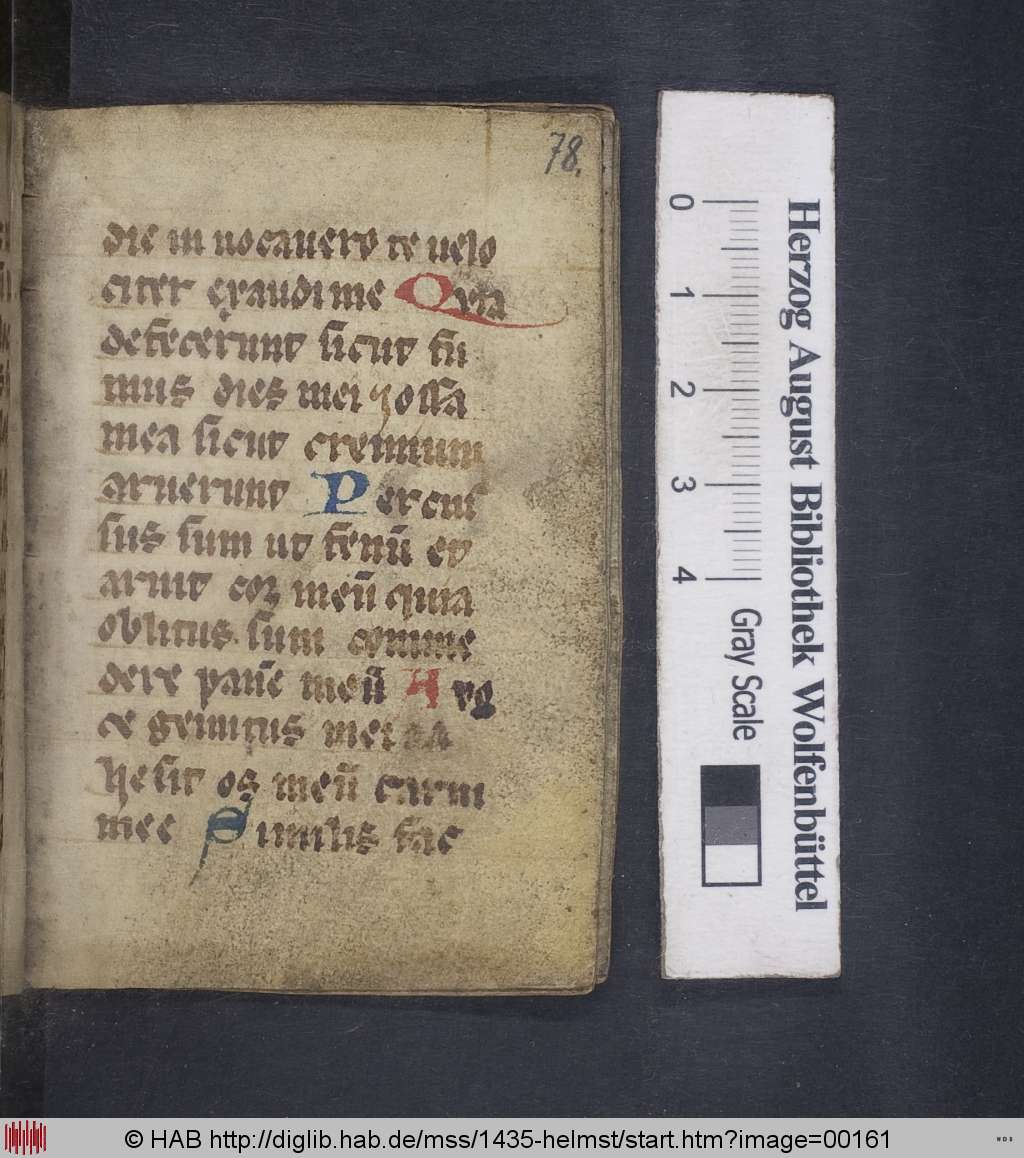 http://diglib.hab.de/mss/1435-helmst/00161.jpg