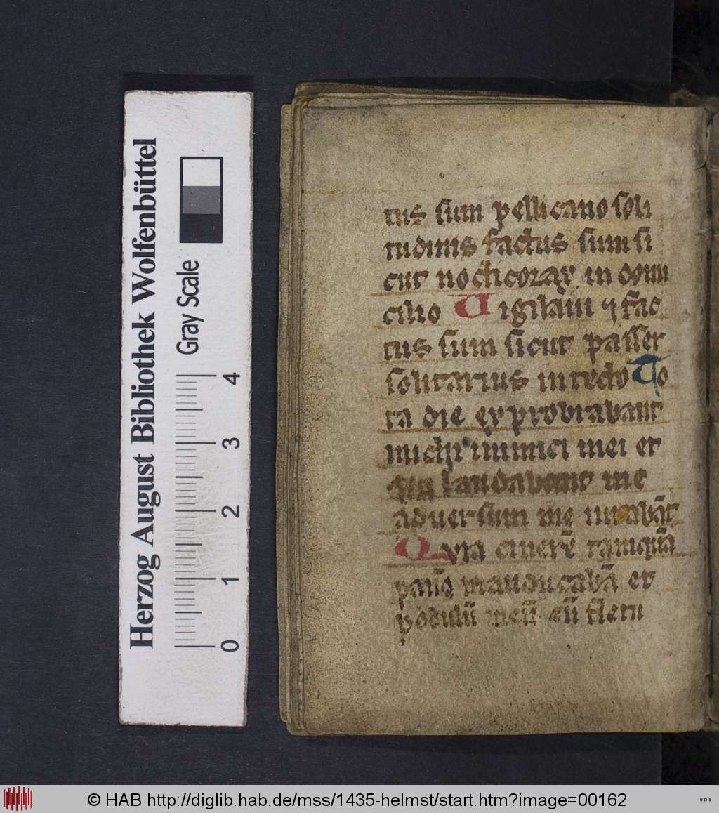 http://diglib.hab.de/mss/1435-helmst/00162.jpg