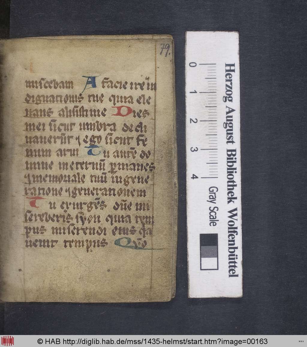 http://diglib.hab.de/mss/1435-helmst/00163.jpg