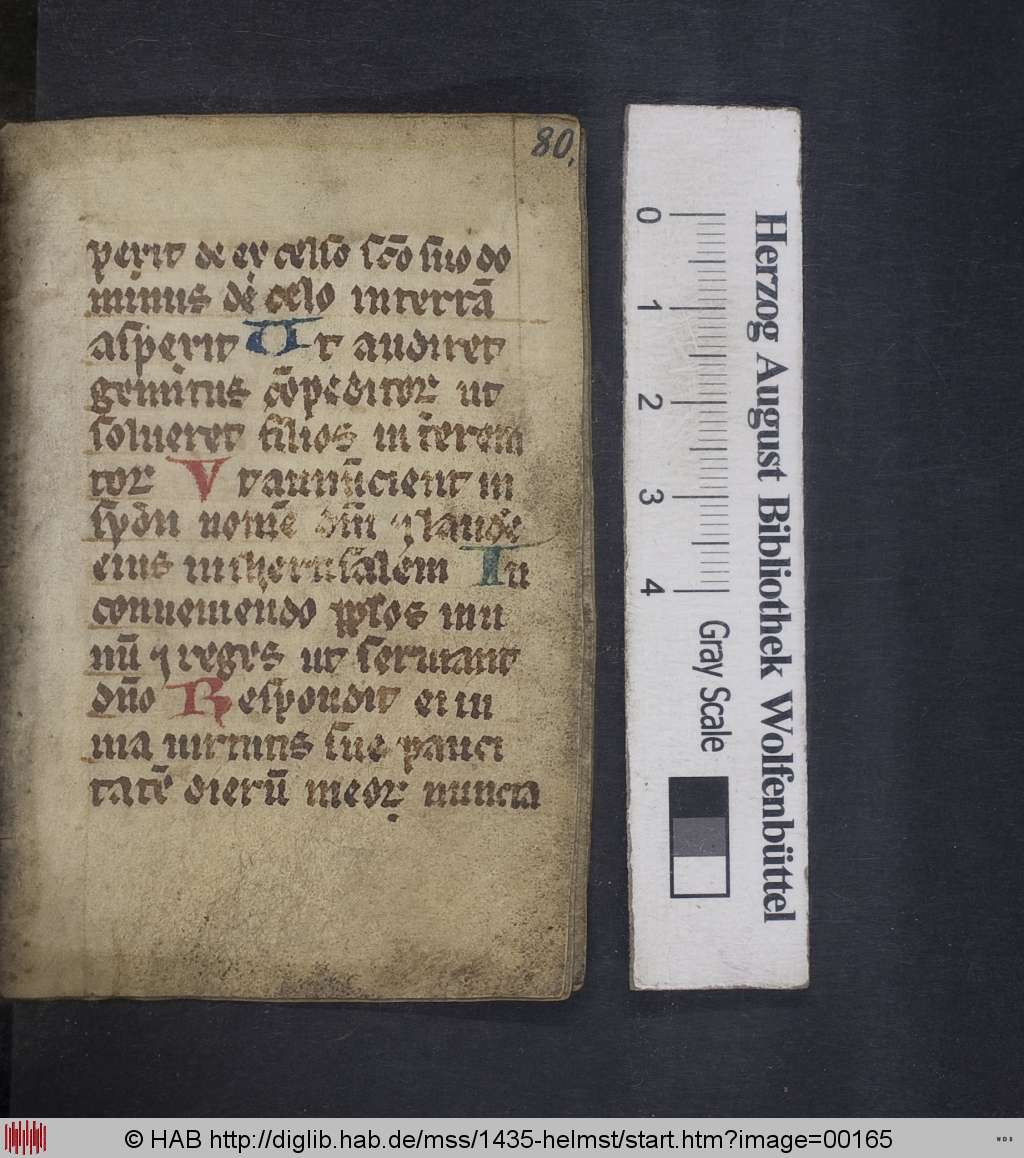 http://diglib.hab.de/mss/1435-helmst/00165.jpg