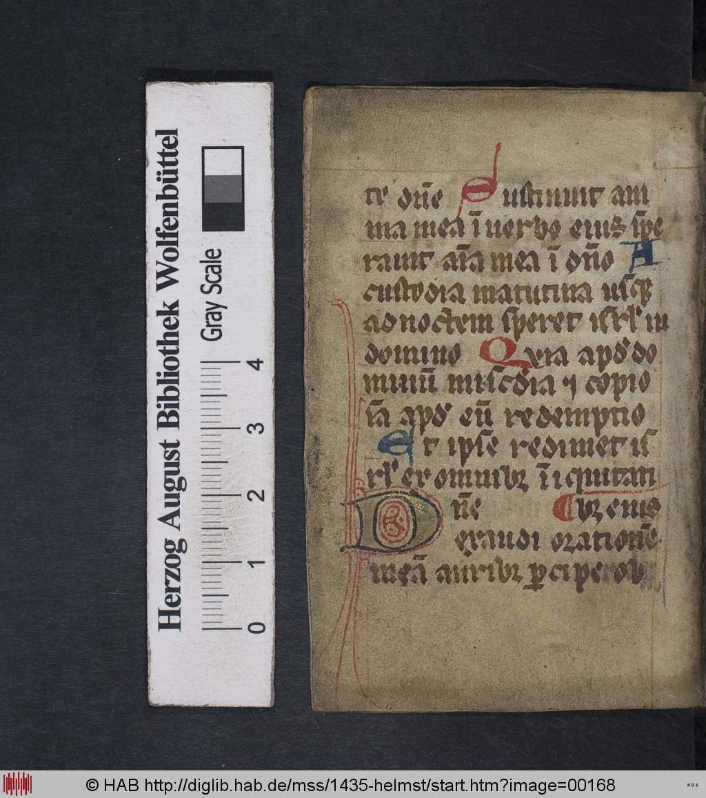 http://diglib.hab.de/mss/1435-helmst/00168.jpg