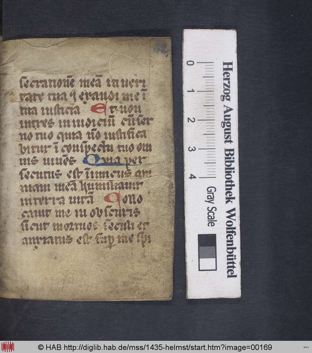 http://diglib.hab.de/mss/1435-helmst/00169.jpg