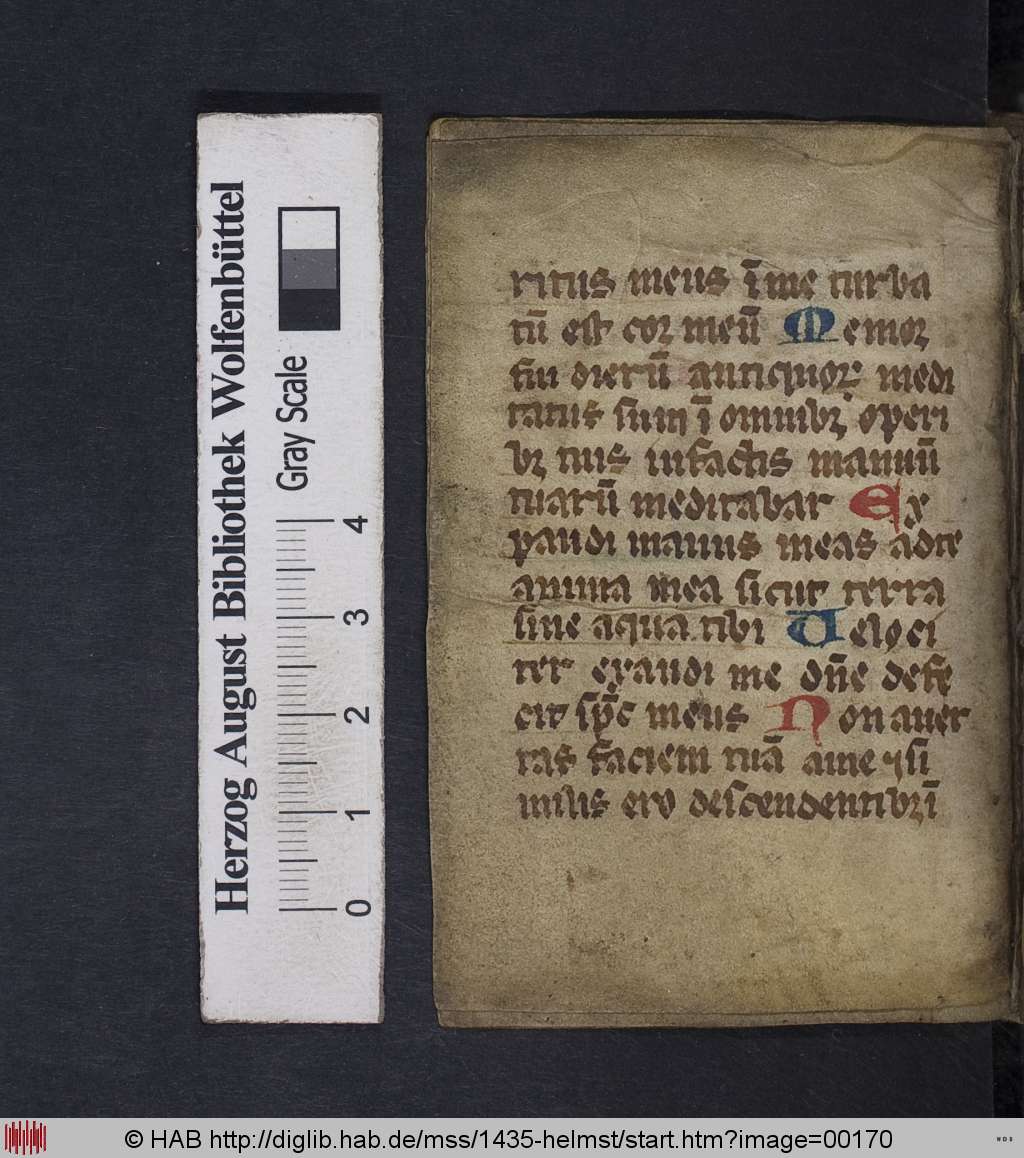 http://diglib.hab.de/mss/1435-helmst/00170.jpg