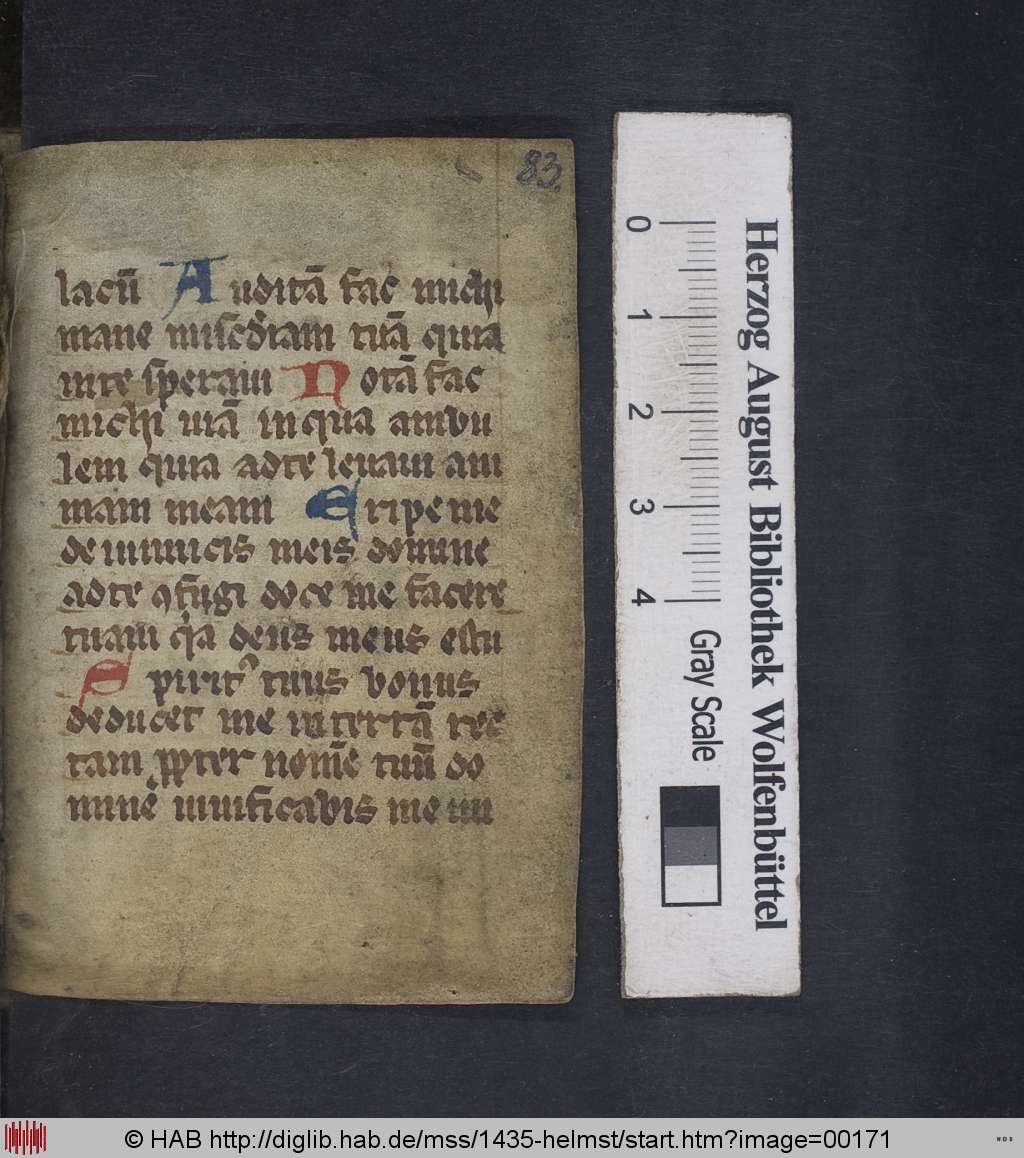 http://diglib.hab.de/mss/1435-helmst/00171.jpg