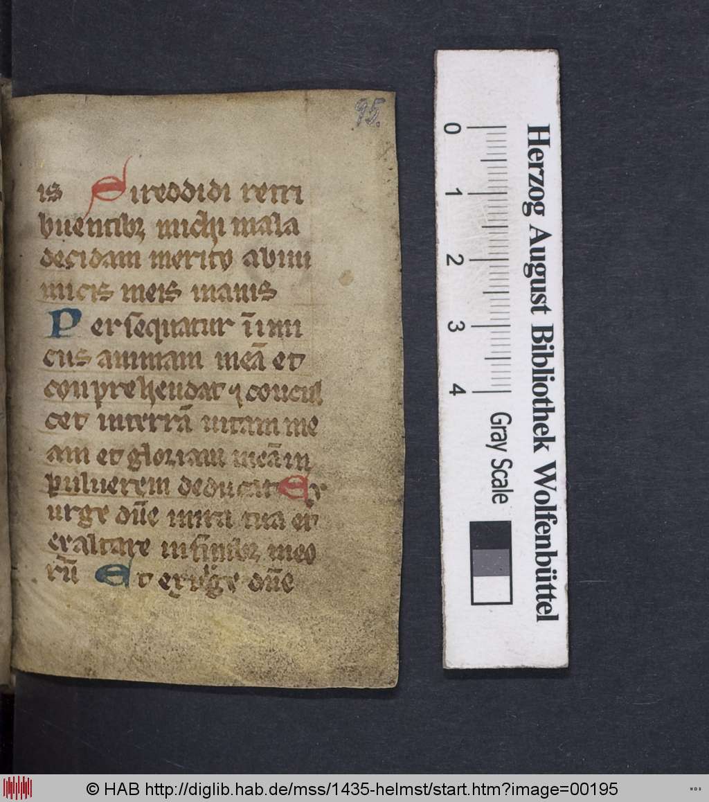 http://diglib.hab.de/mss/1435-helmst/00195.jpg