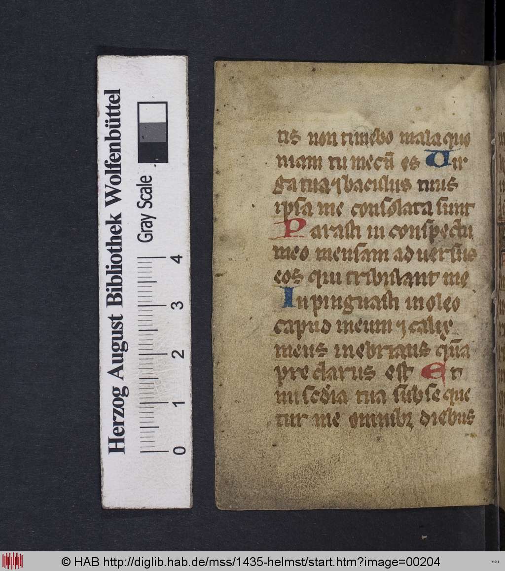 http://diglib.hab.de/mss/1435-helmst/00204.jpg