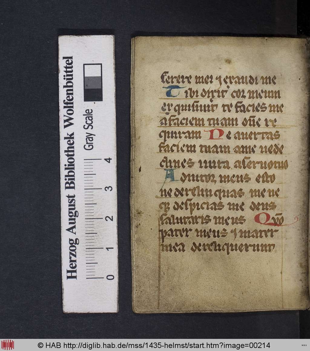 http://diglib.hab.de/mss/1435-helmst/00214.jpg