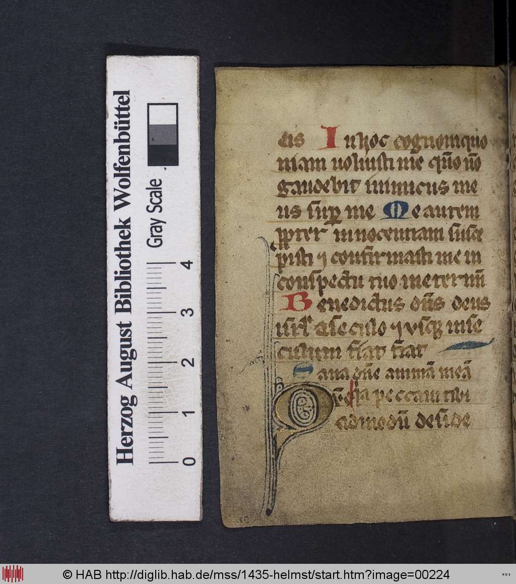 http://diglib.hab.de/mss/1435-helmst/00224.jpg