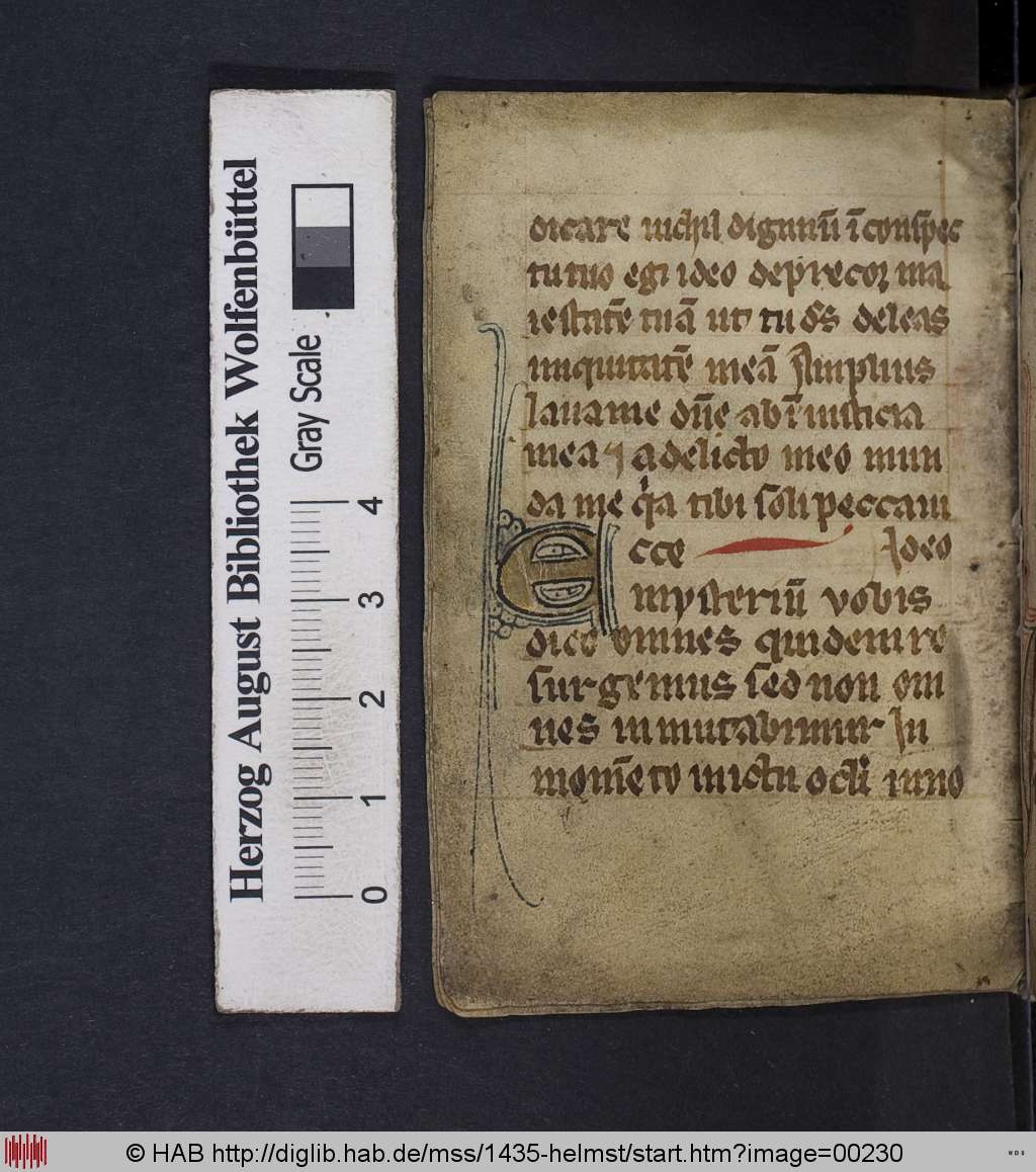 http://diglib.hab.de/mss/1435-helmst/00230.jpg