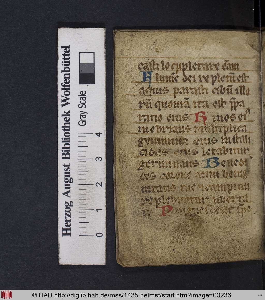 http://diglib.hab.de/mss/1435-helmst/00236.jpg