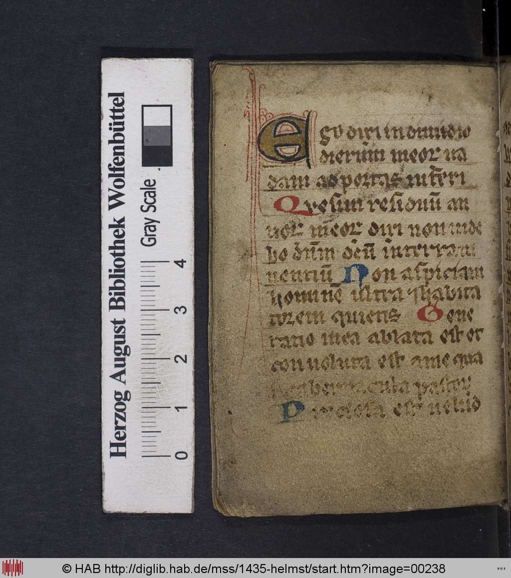 http://diglib.hab.de/mss/1435-helmst/00238.jpg
