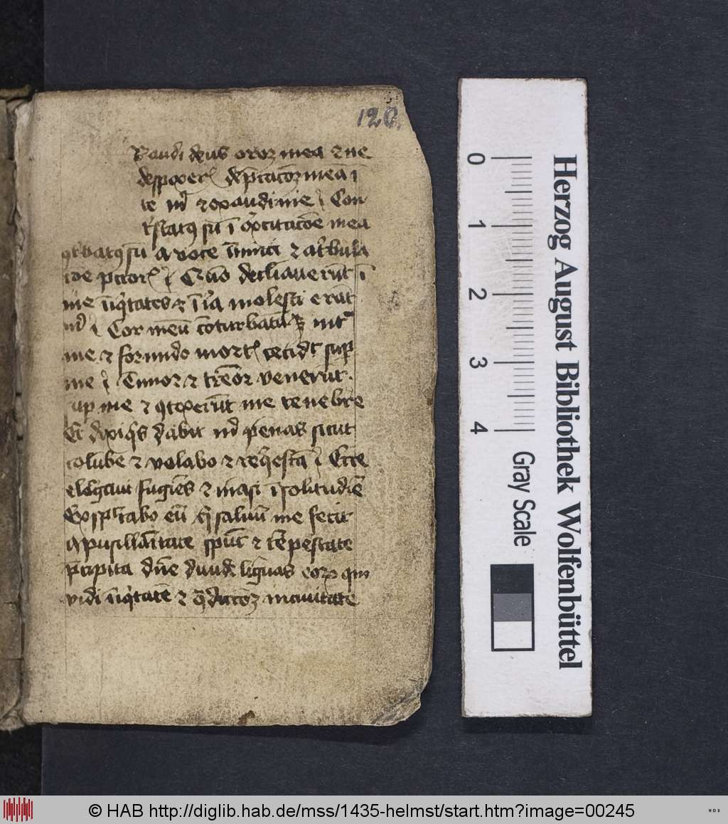 http://diglib.hab.de/mss/1435-helmst/00245.jpg
