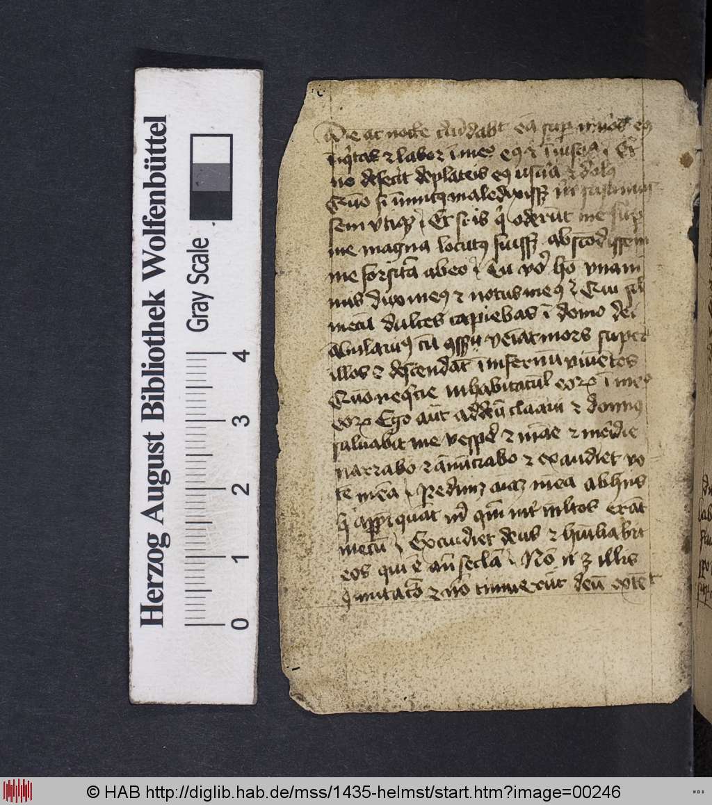 http://diglib.hab.de/mss/1435-helmst/00246.jpg