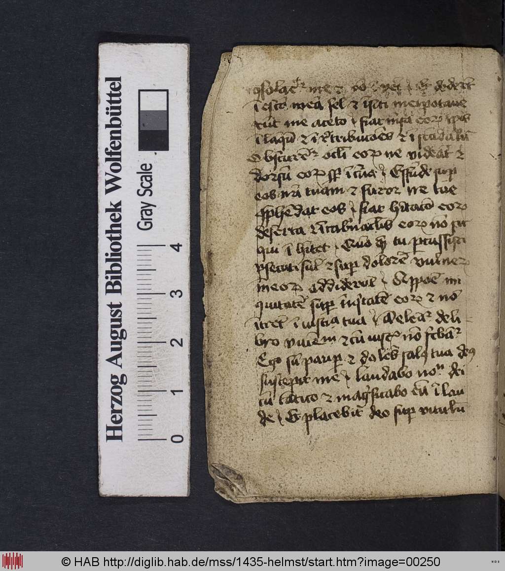 http://diglib.hab.de/mss/1435-helmst/00250.jpg