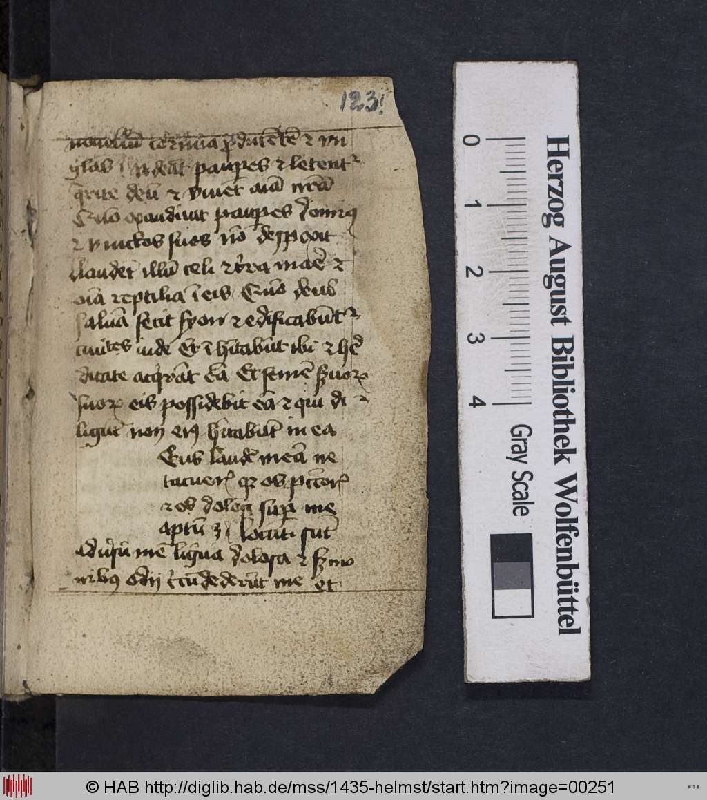 http://diglib.hab.de/mss/1435-helmst/00251.jpg
