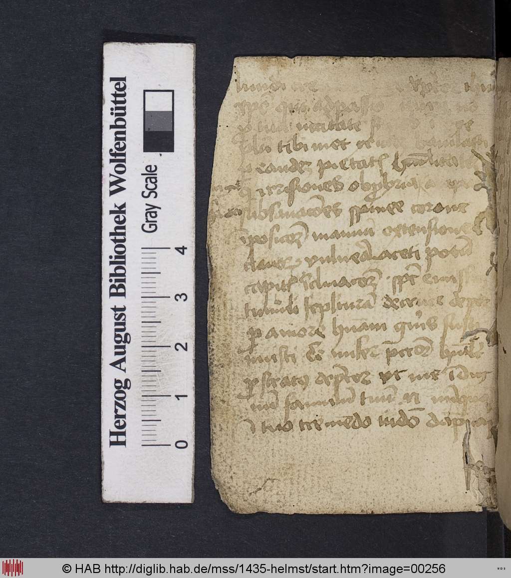 http://diglib.hab.de/mss/1435-helmst/00256.jpg