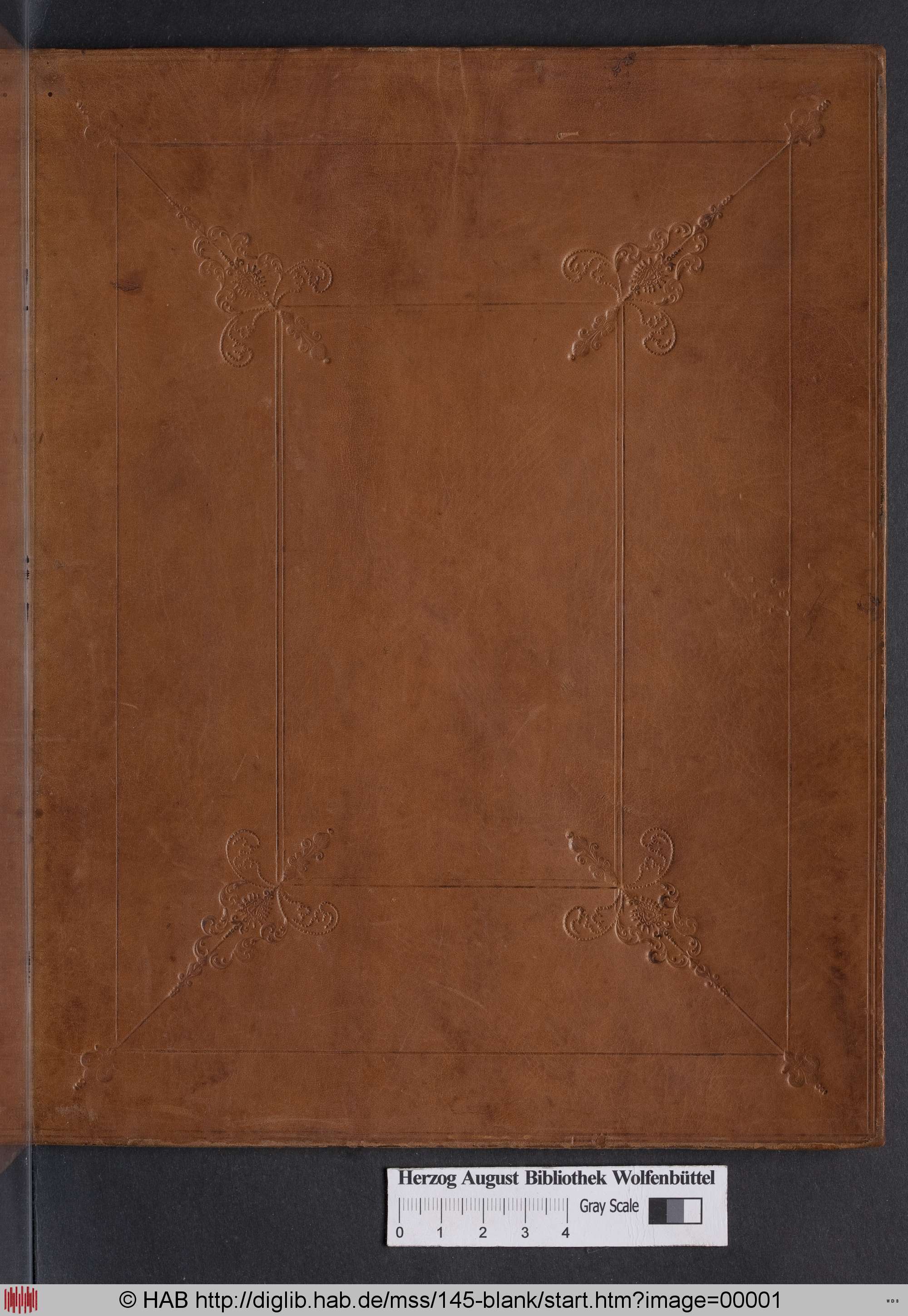 http://diglib.hab.de/mss/145-blank/max/00001.jpg