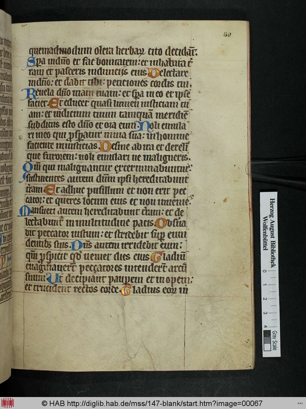 http://diglib.hab.de/mss/147-blank/00067.jpg
