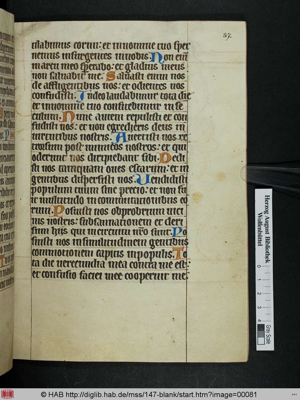 http://diglib.hab.de/mss/147-blank/00081.jpg