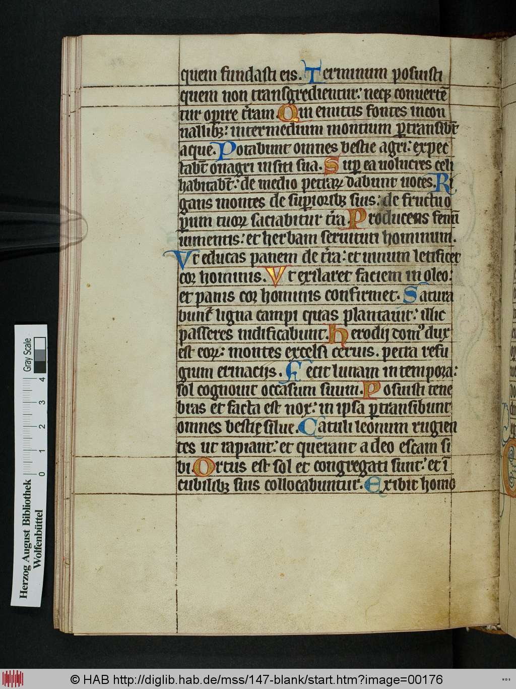 http://diglib.hab.de/mss/147-blank/00176.jpg