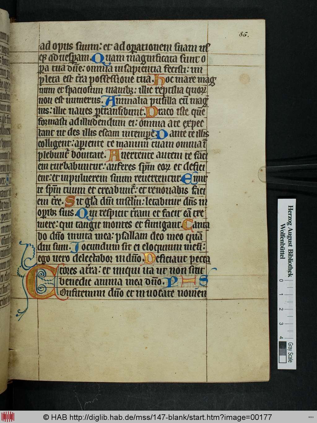 http://diglib.hab.de/mss/147-blank/00177.jpg