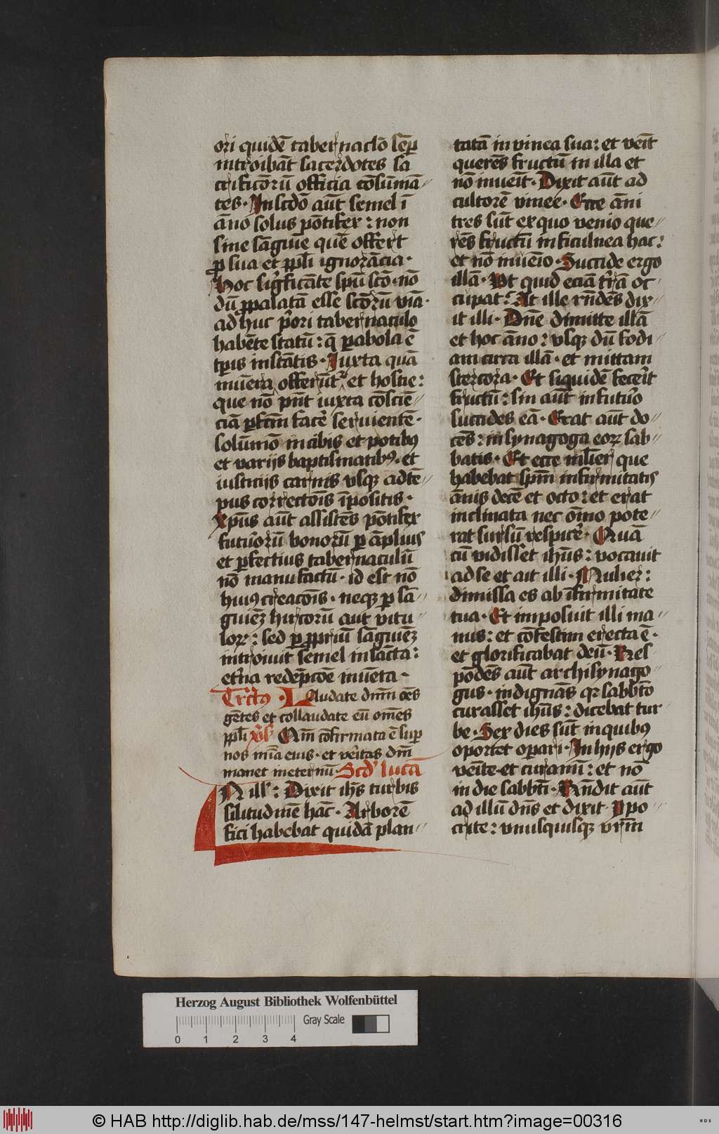 http://diglib.hab.de/mss/147-helmst/00316.jpg