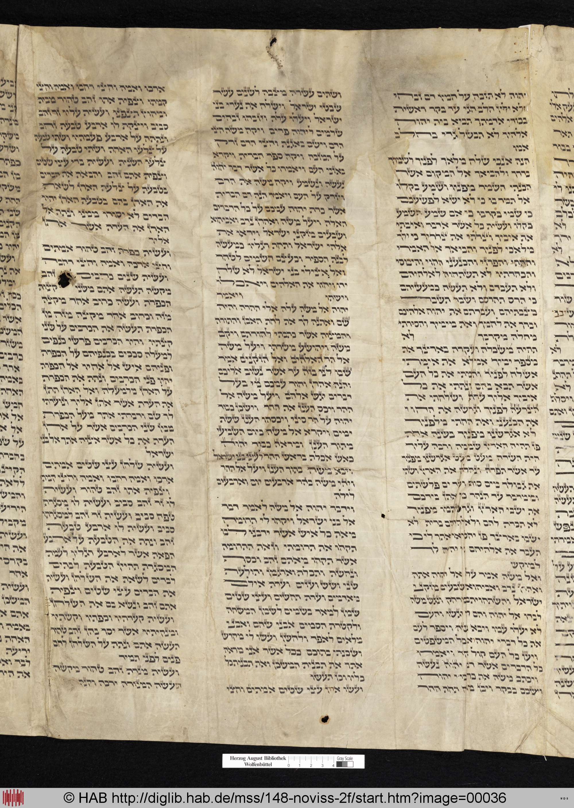 http://diglib.hab.de/mss/148-noviss-2f/max/00036.jpg