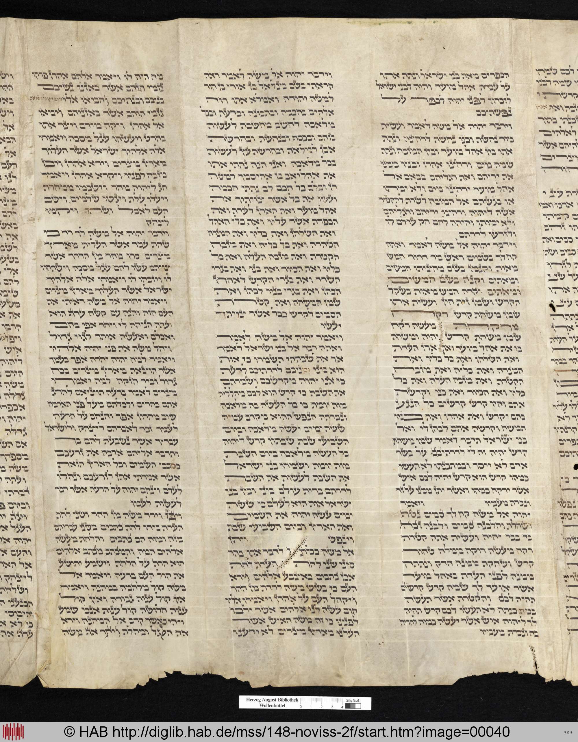http://diglib.hab.de/mss/148-noviss-2f/max/00040.jpg