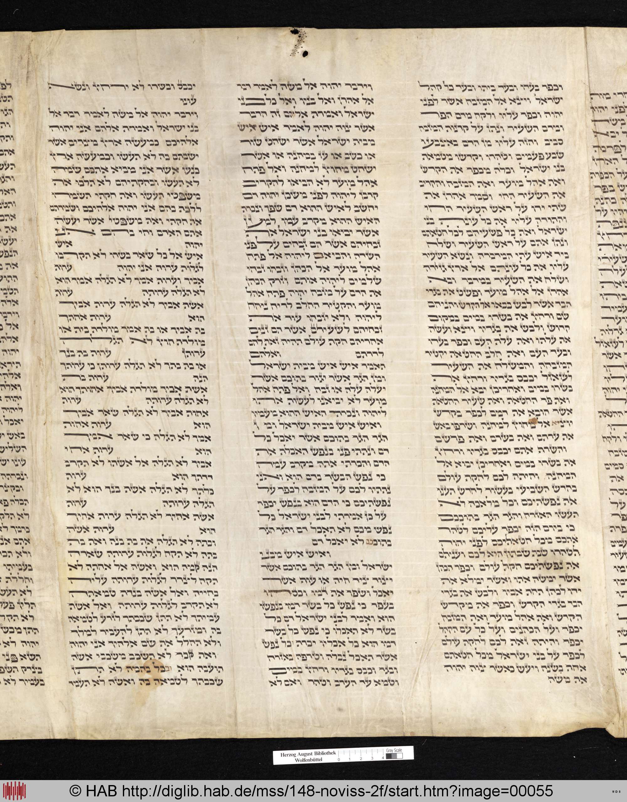 http://diglib.hab.de/mss/148-noviss-2f/max/00055.jpg