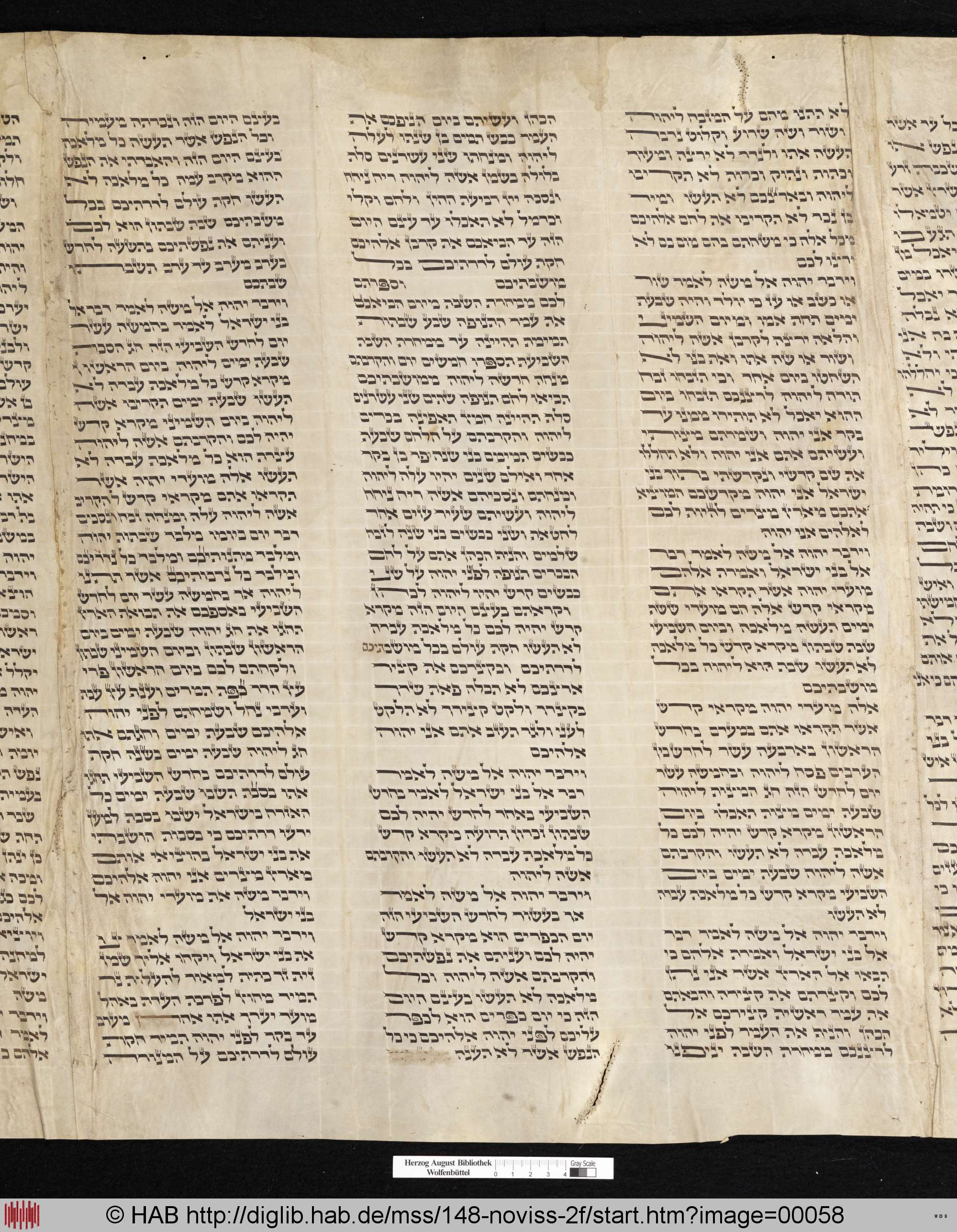 http://diglib.hab.de/mss/148-noviss-2f/max/00058.jpg