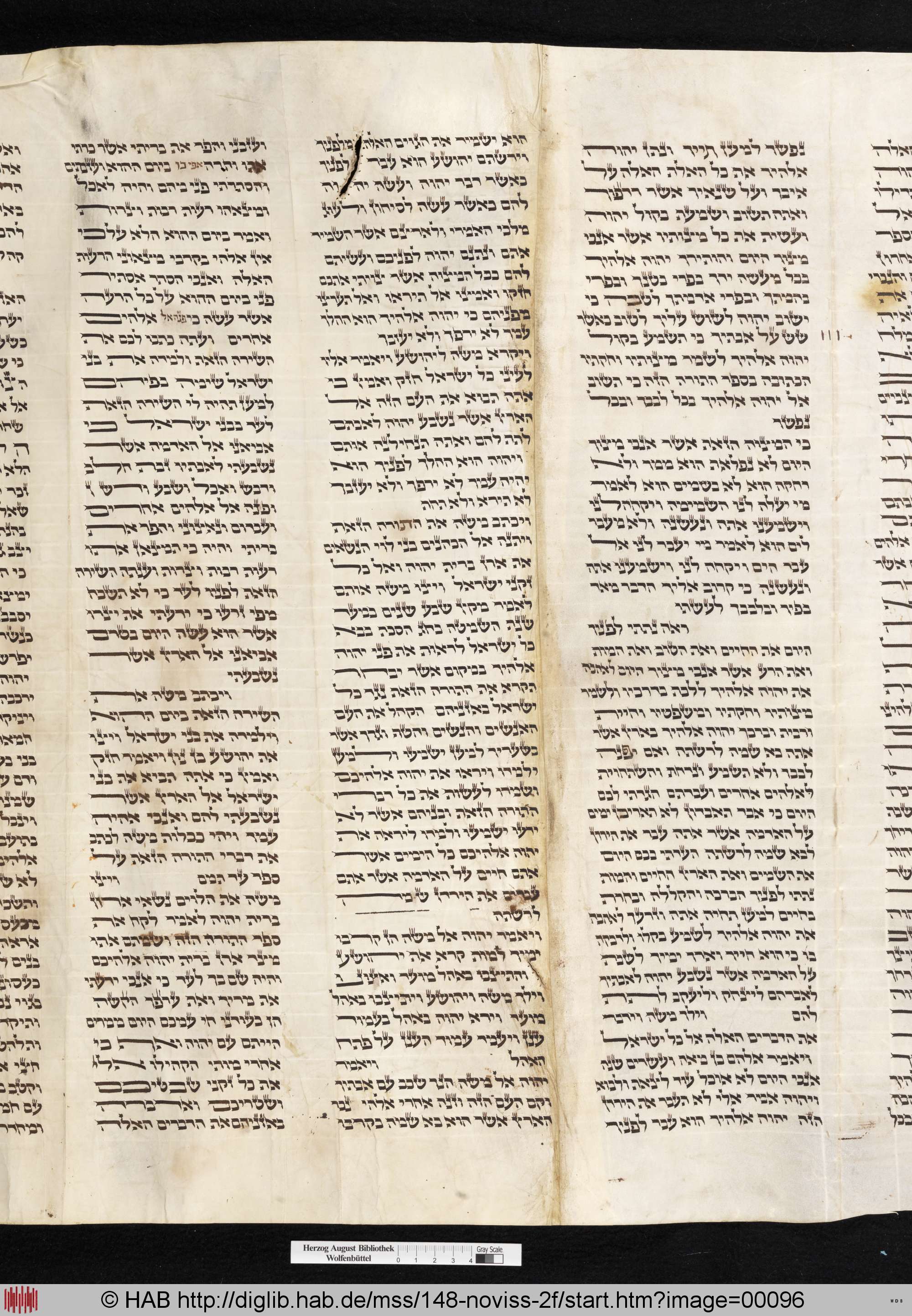 http://diglib.hab.de/mss/148-noviss-2f/max/00096.jpg