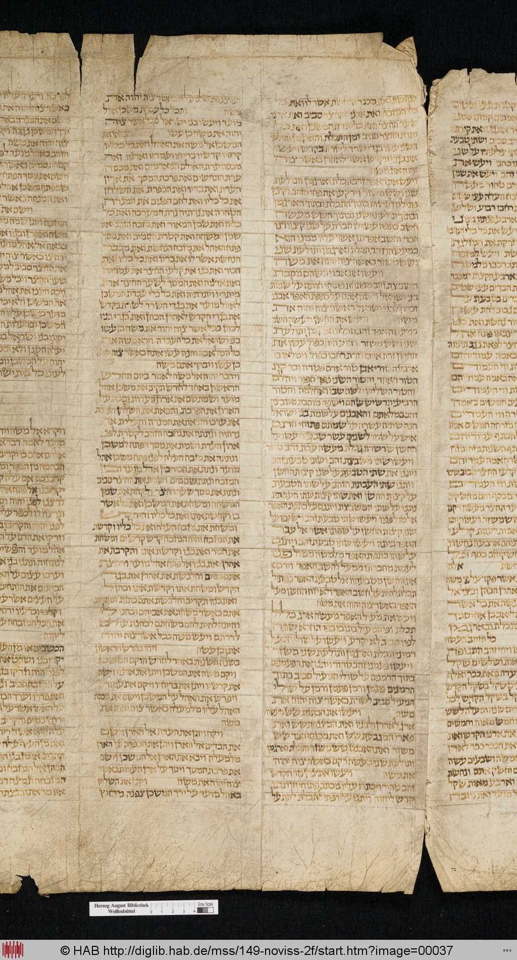 http://diglib.hab.de/mss/149-noviss-2f/00037.jpg