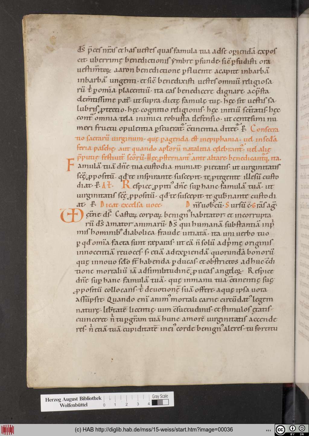 http://diglib.hab.de/mss/15-weiss/00036.jpg