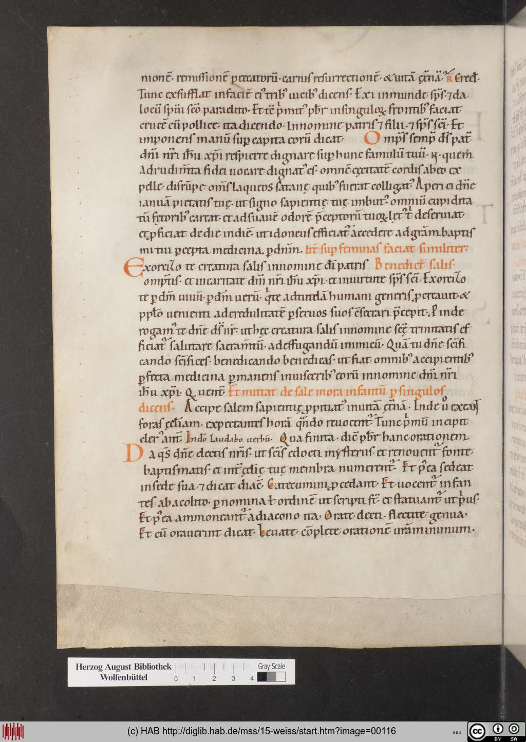 http://diglib.hab.de/mss/15-weiss/00116.jpg