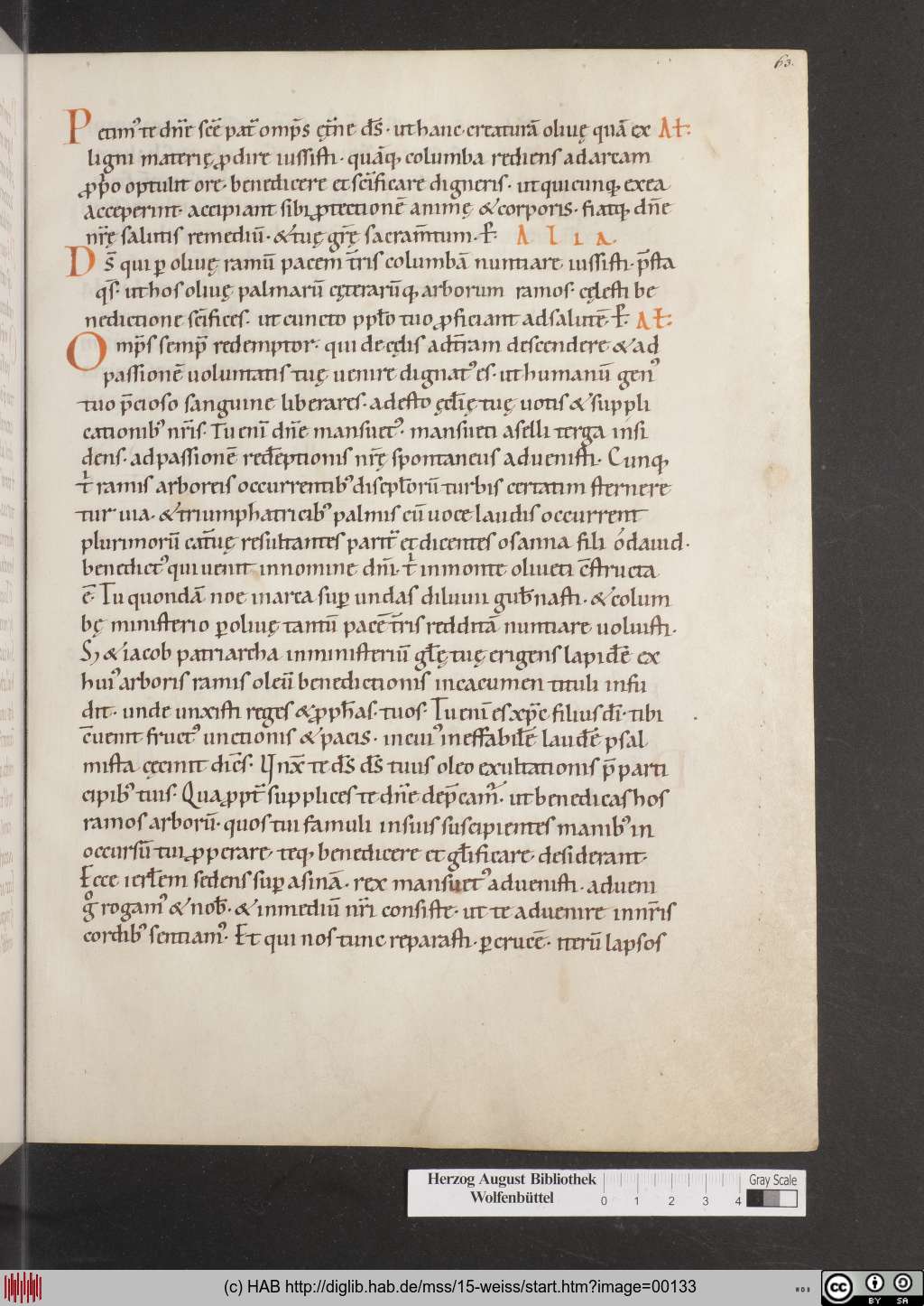 http://diglib.hab.de/mss/15-weiss/00133.jpg