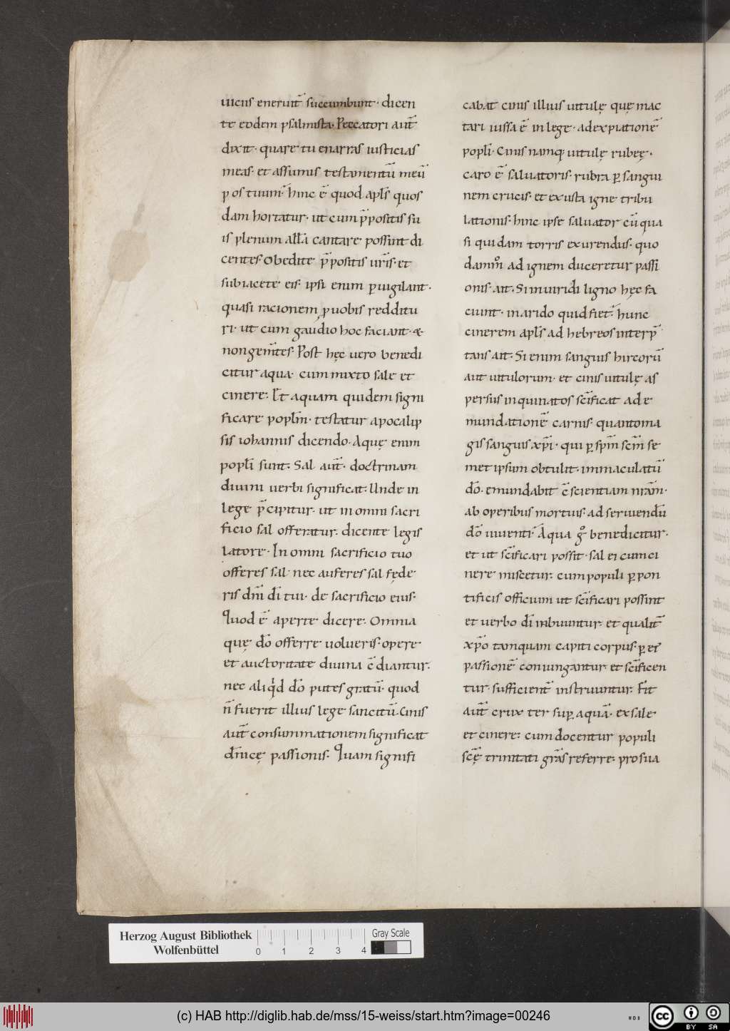 http://diglib.hab.de/mss/15-weiss/00246.jpg